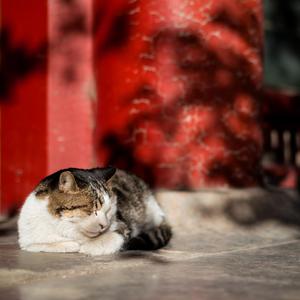 自拍偷拍综合网
